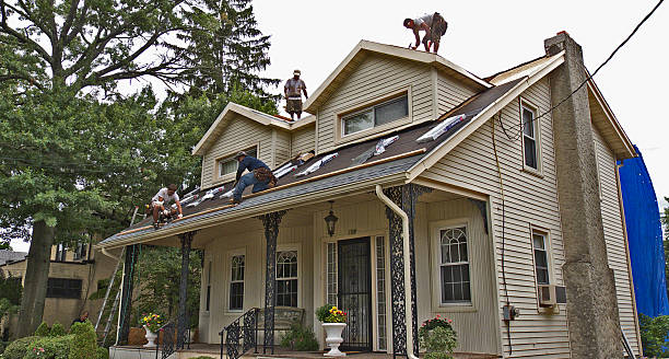 Best Gutter Installation and Roofing  in Wallace, NC